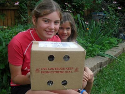 Ladies in Red Shiny Armour Image